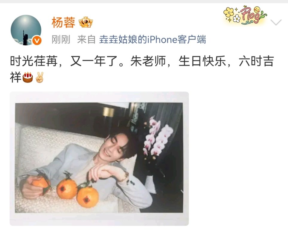 杨蓉连续12年为朱一龙庆生