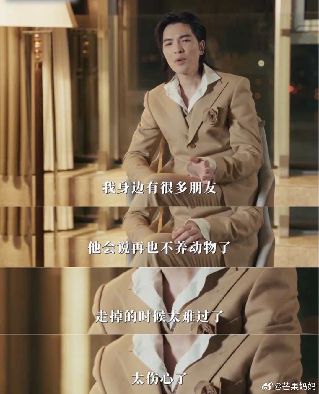 萧敬腾谈收养流浪动物,以自身痛苦换毛孩快乐一生