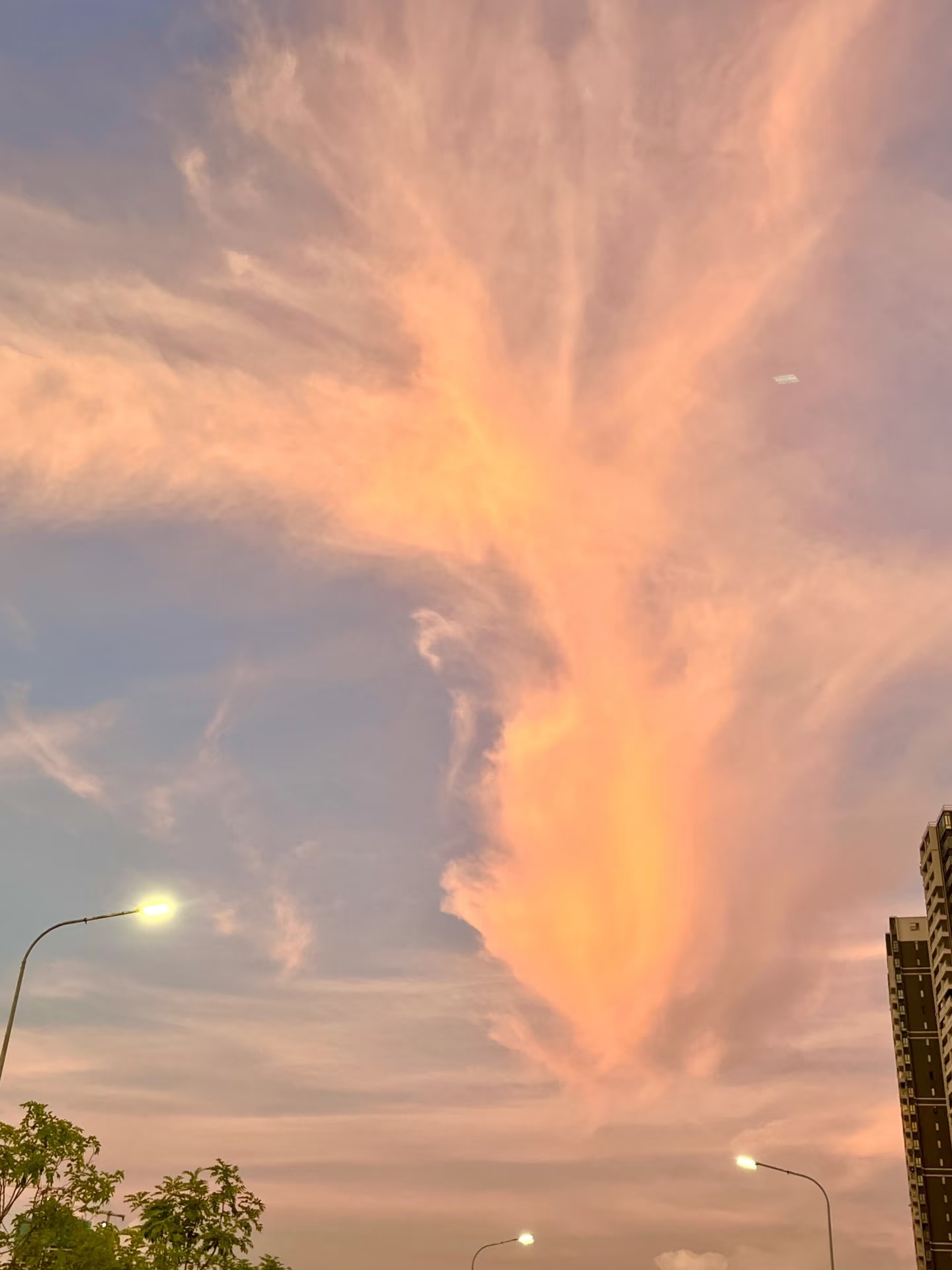 易烊千玺携手特仑苏嗨MILK推出专属定制营养系列