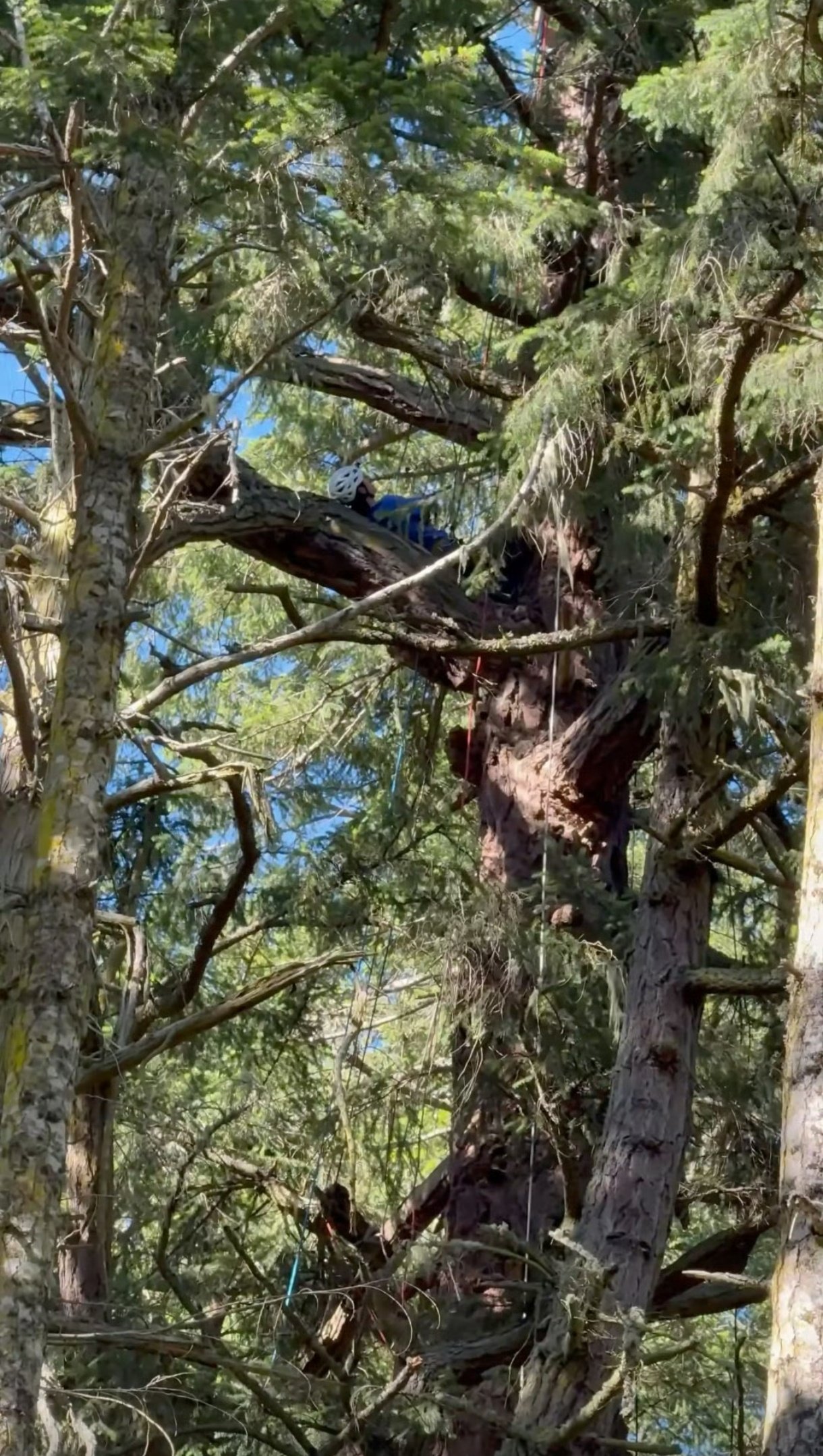 博哥超人岩壁吊帐过夜、悬崖走钢丝