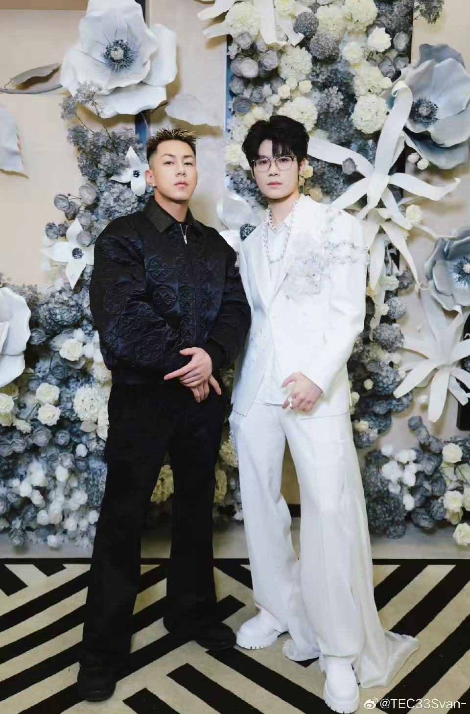 卡斯柏合拍冷静鸽与舞台豹同框