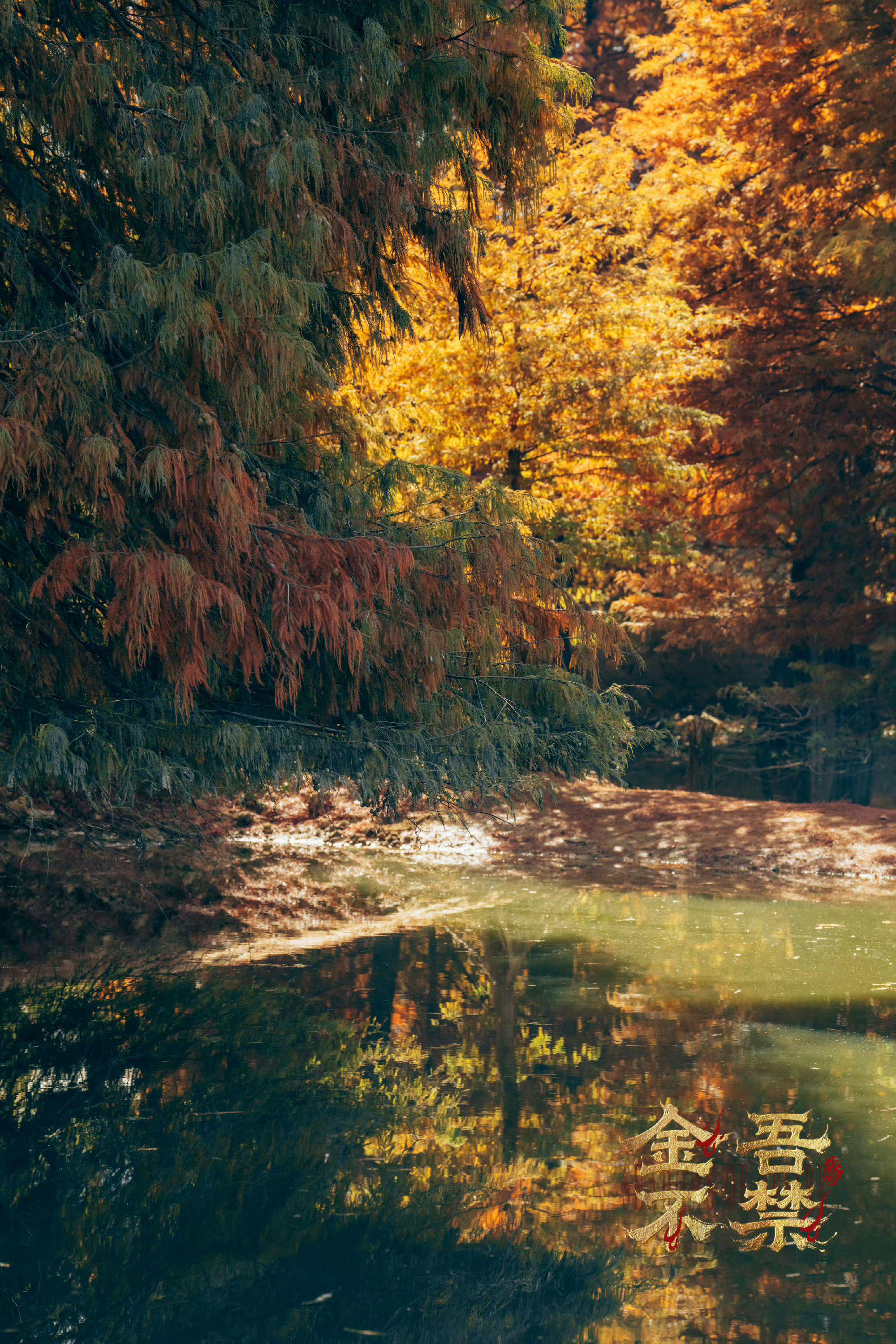 于正发新歌《花开花落》悼念童年荧幕形象