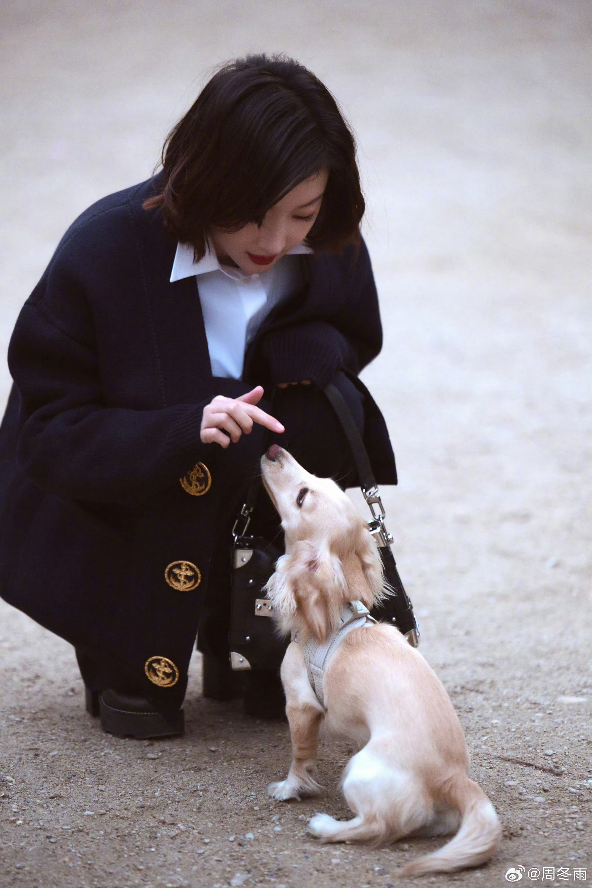 周冬雨巴黎街头偶遇小狗