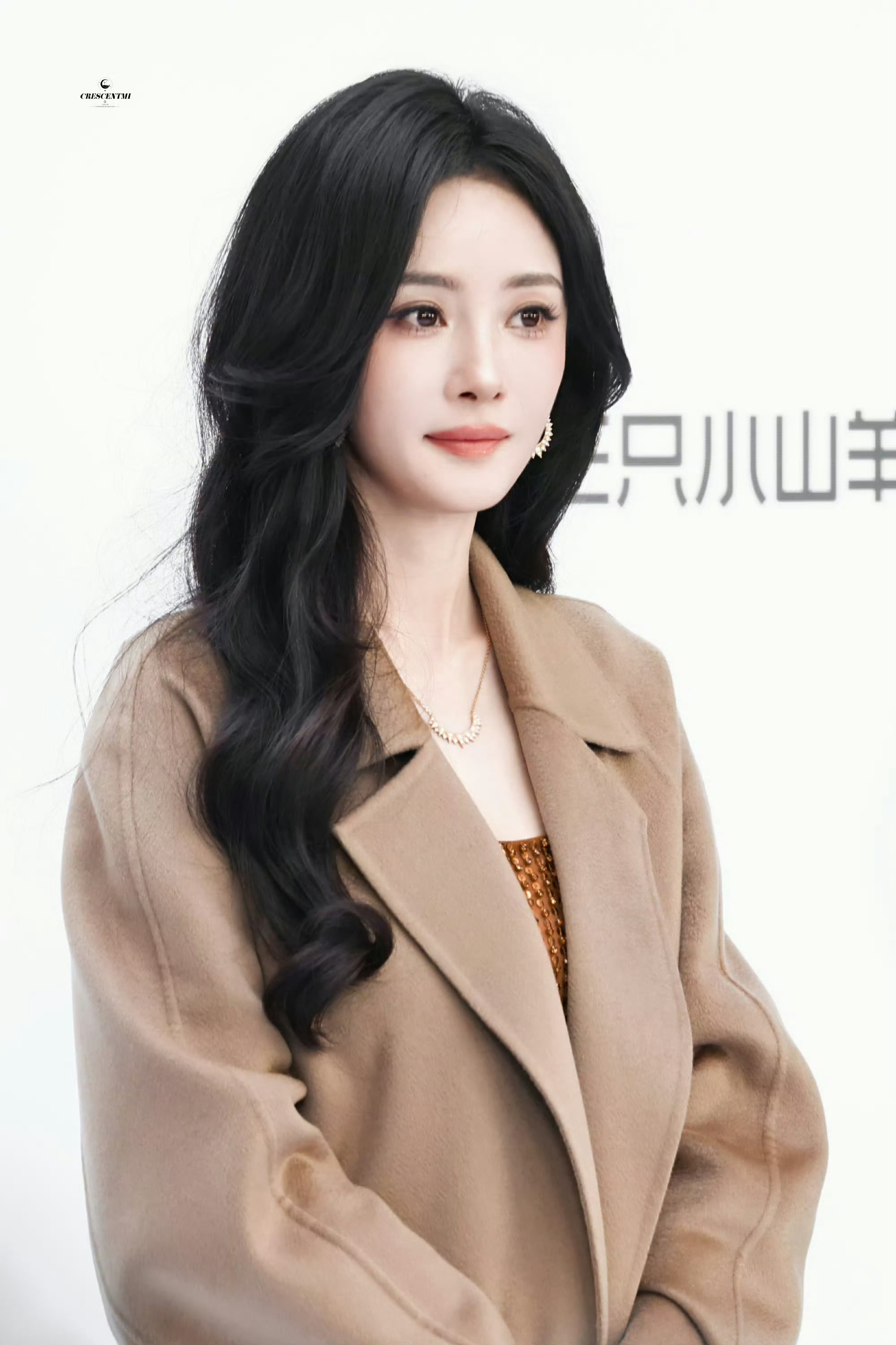 杨幂说我的光芒也是你们给我的