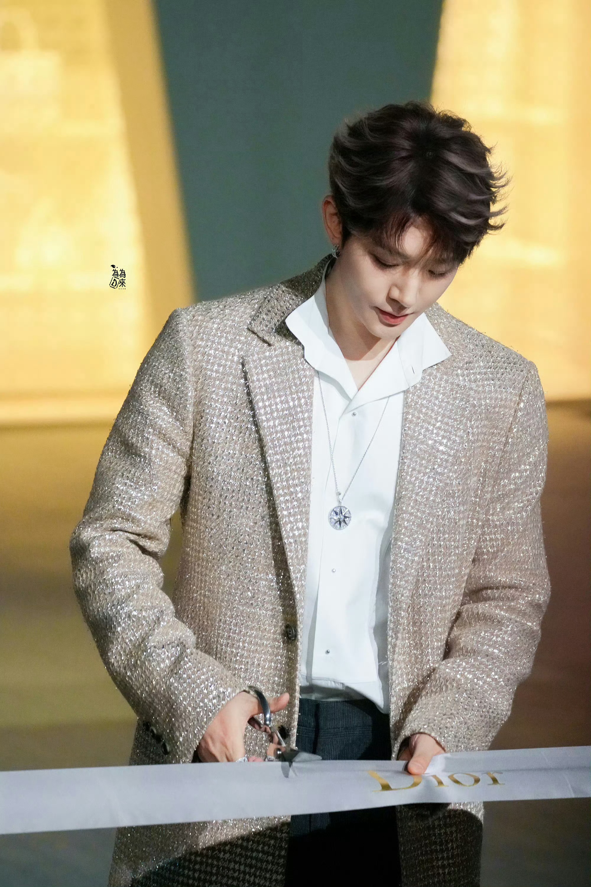 邓为亮相北京迪奥活动，神图频出获赞内娱法拉利