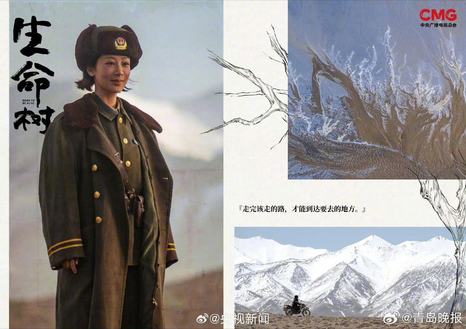 杨紫胡歌主演生命树发布台词海报