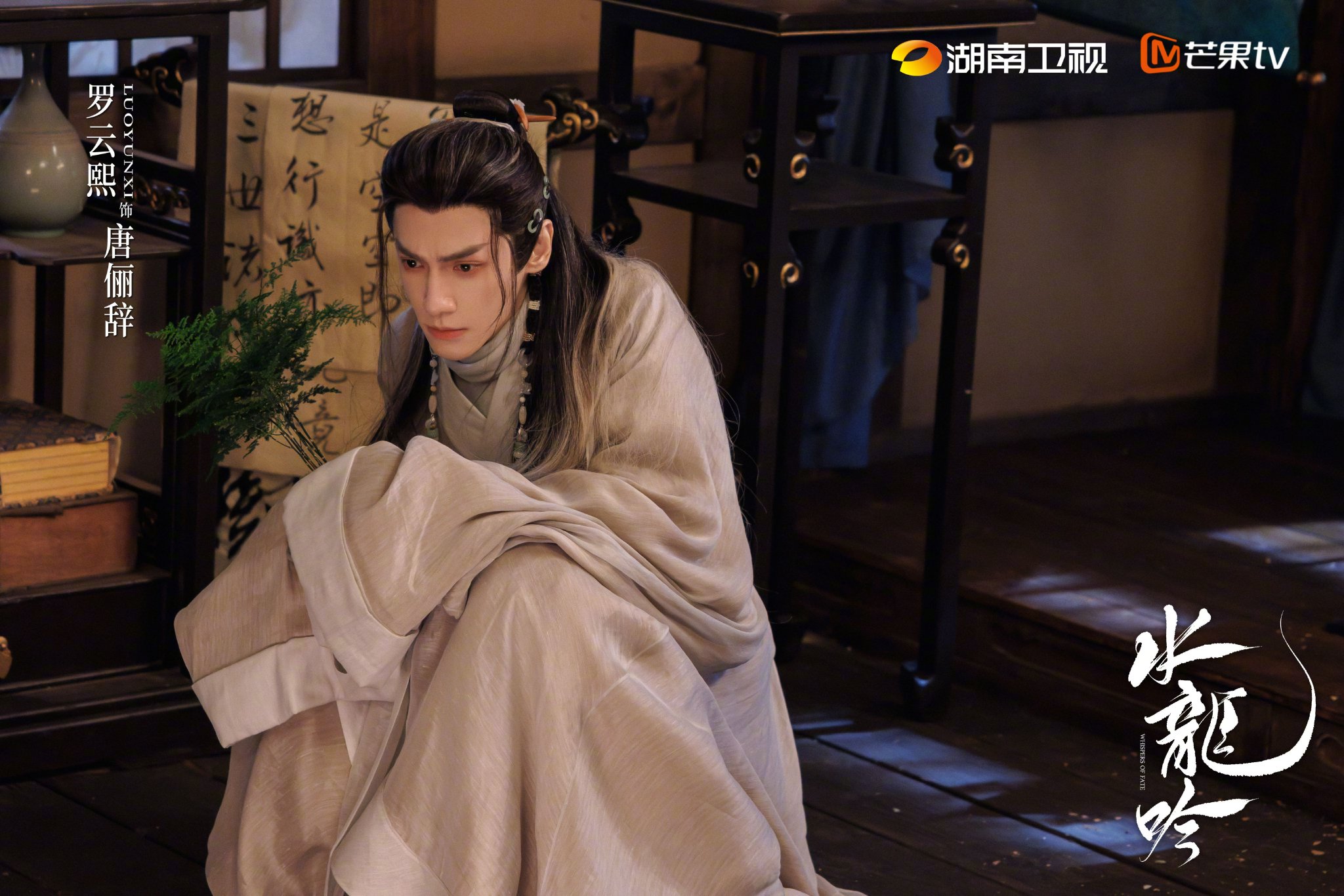 罗云熙肖顺尧敖子逸等主演《水龙吟》湖南卫视热播