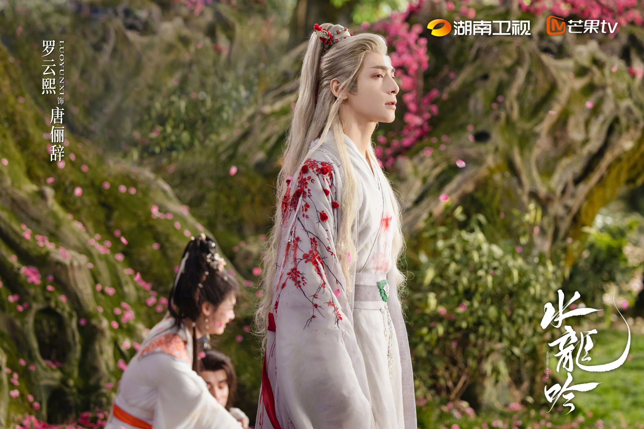 罗云熙肖顺尧等主演《水龙吟》湖南卫视热播