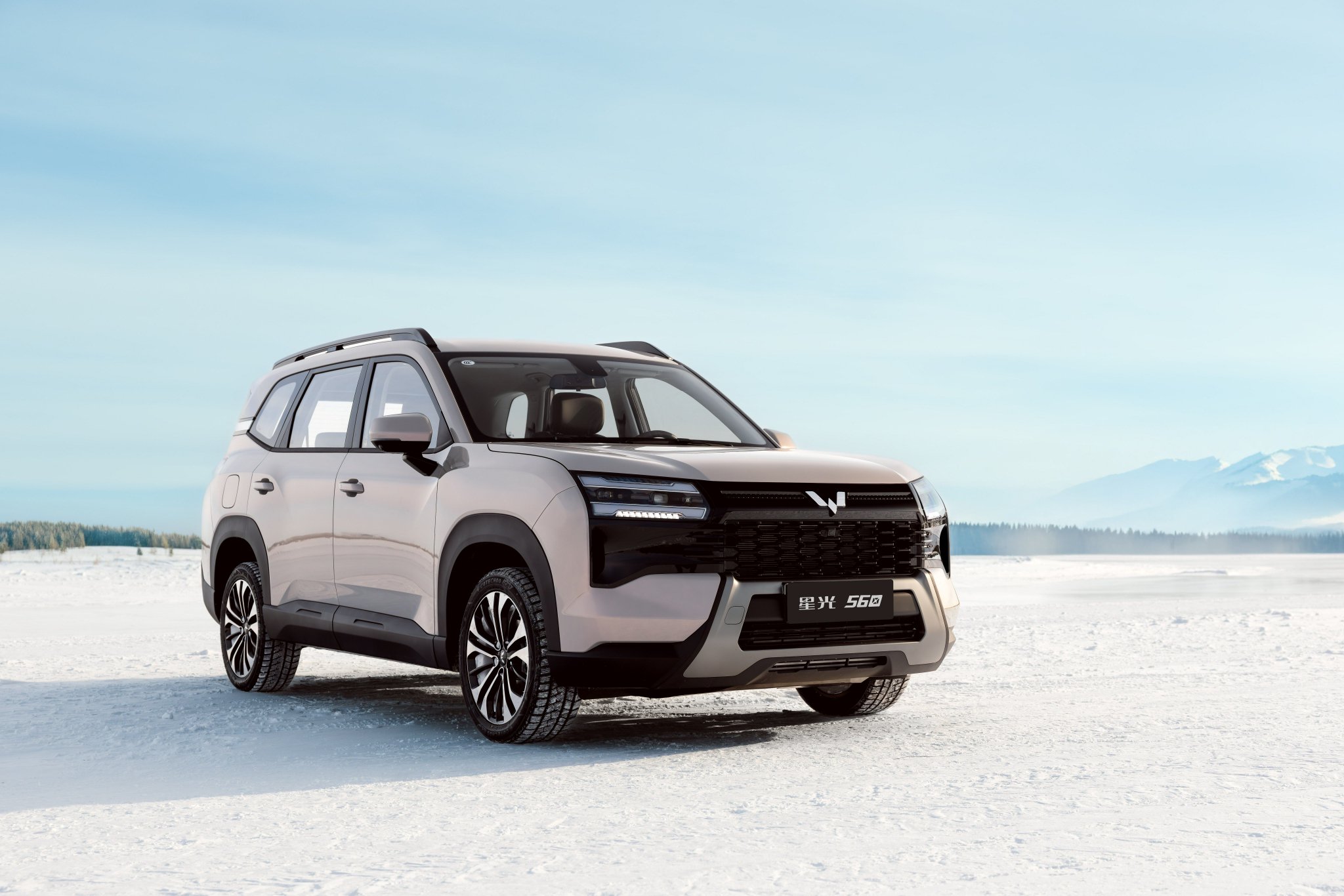 星光560上市定价5.98万起，轴距2810mm配三动力可选