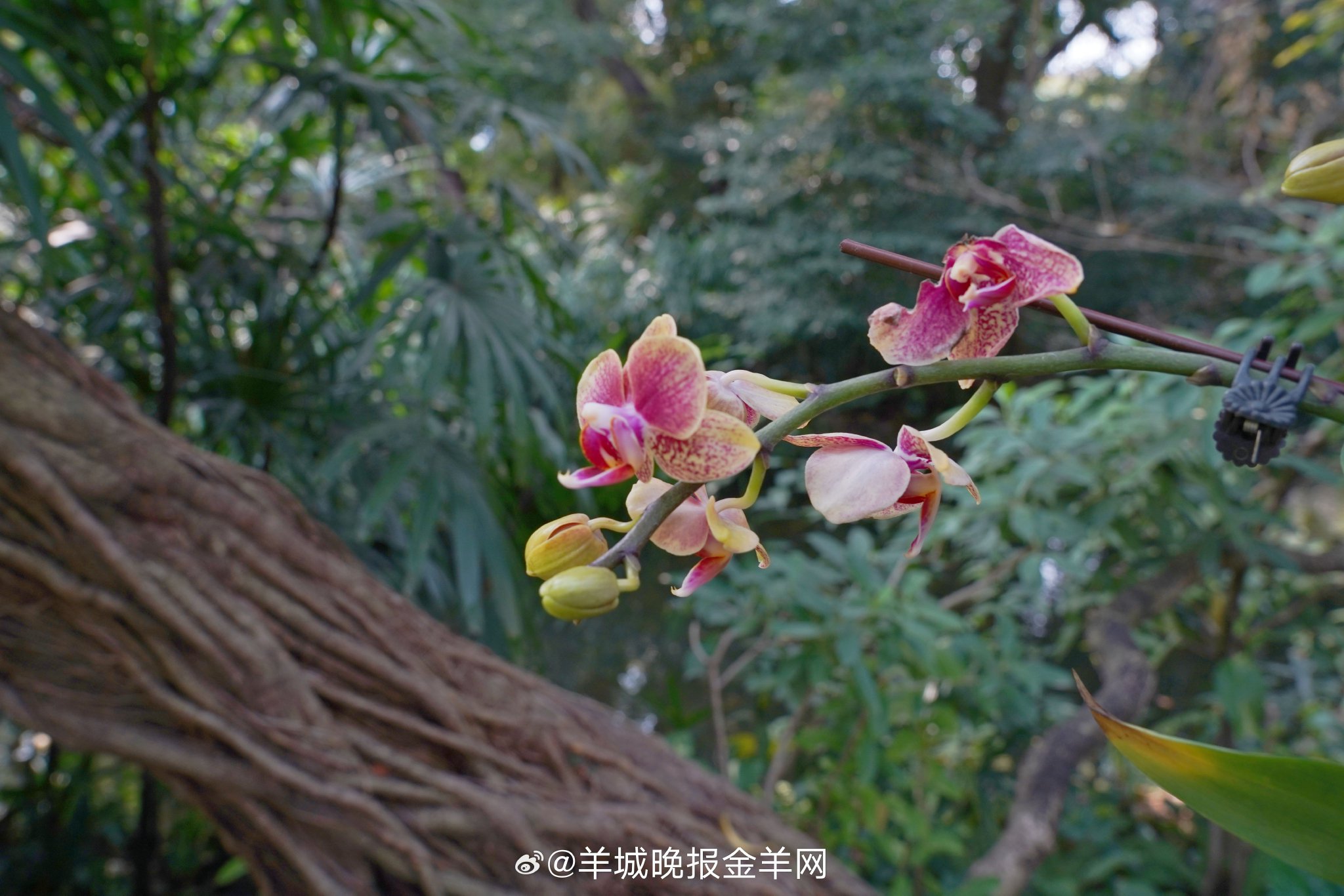 晚安祝福：世间美好与你相遇