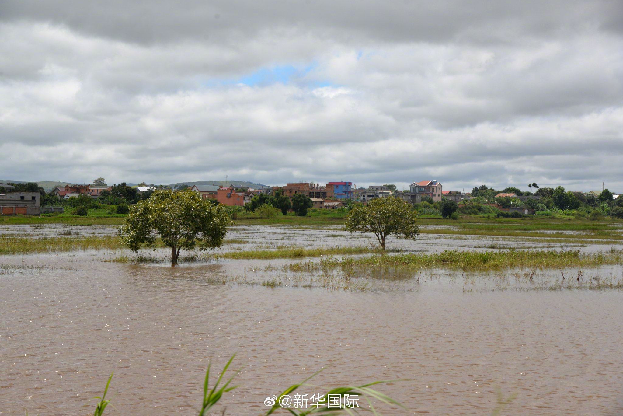 热带气旋格扎尼致马达加斯加59死42万人受灾