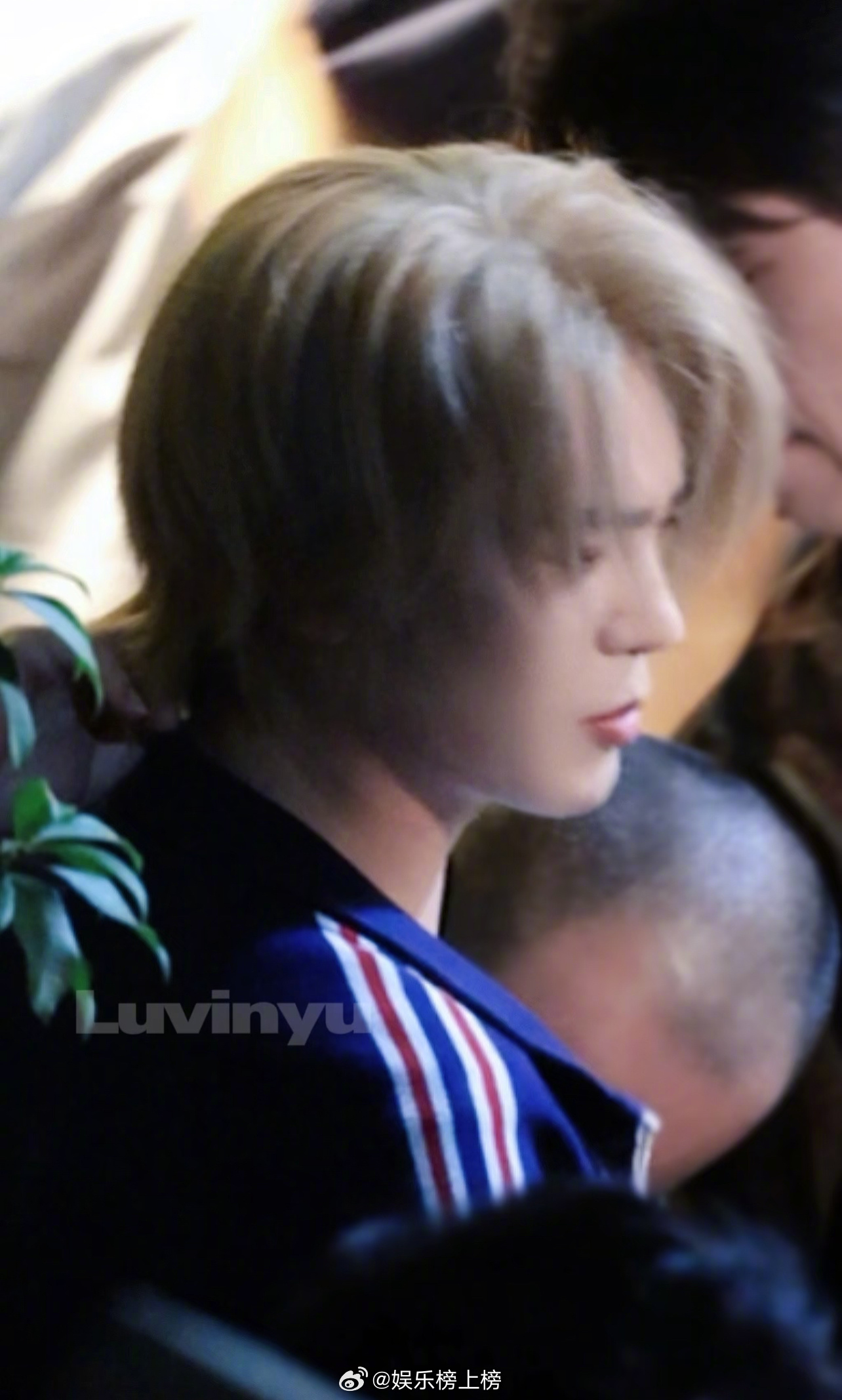 于适猎心黄毛造型曝光日系感十足