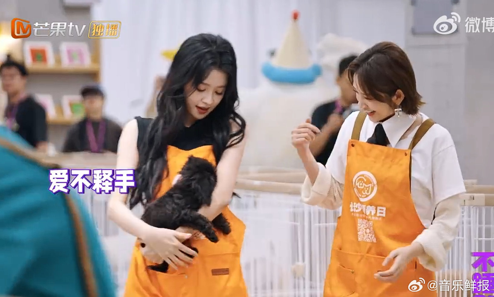 孙怡天生吸狗体质，小狗主动亲近撒娇