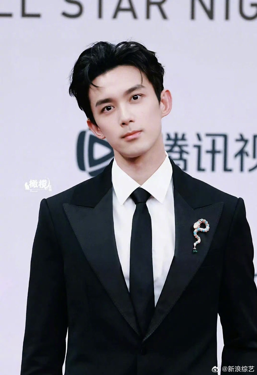 吴磊携《剑来》压轴亮相星光大赏红毯