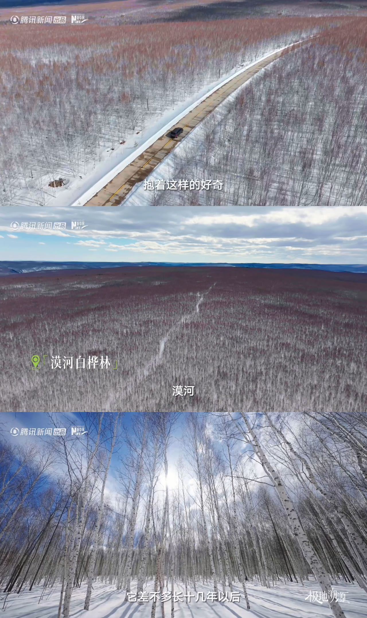 华晨宇蔡徐坤同款取景地曝光，漠河白桦林成网红打卡地