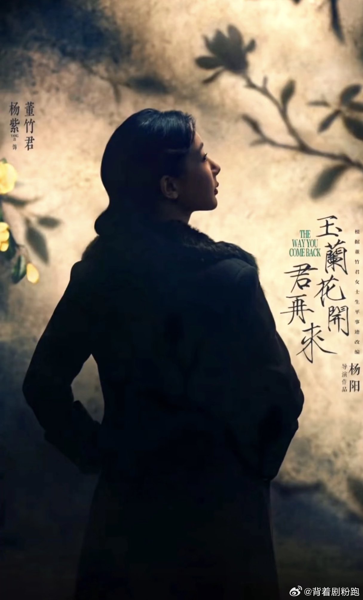 杨紫欧豪三搭《玉兰花开君再来》开机，杨阳执导