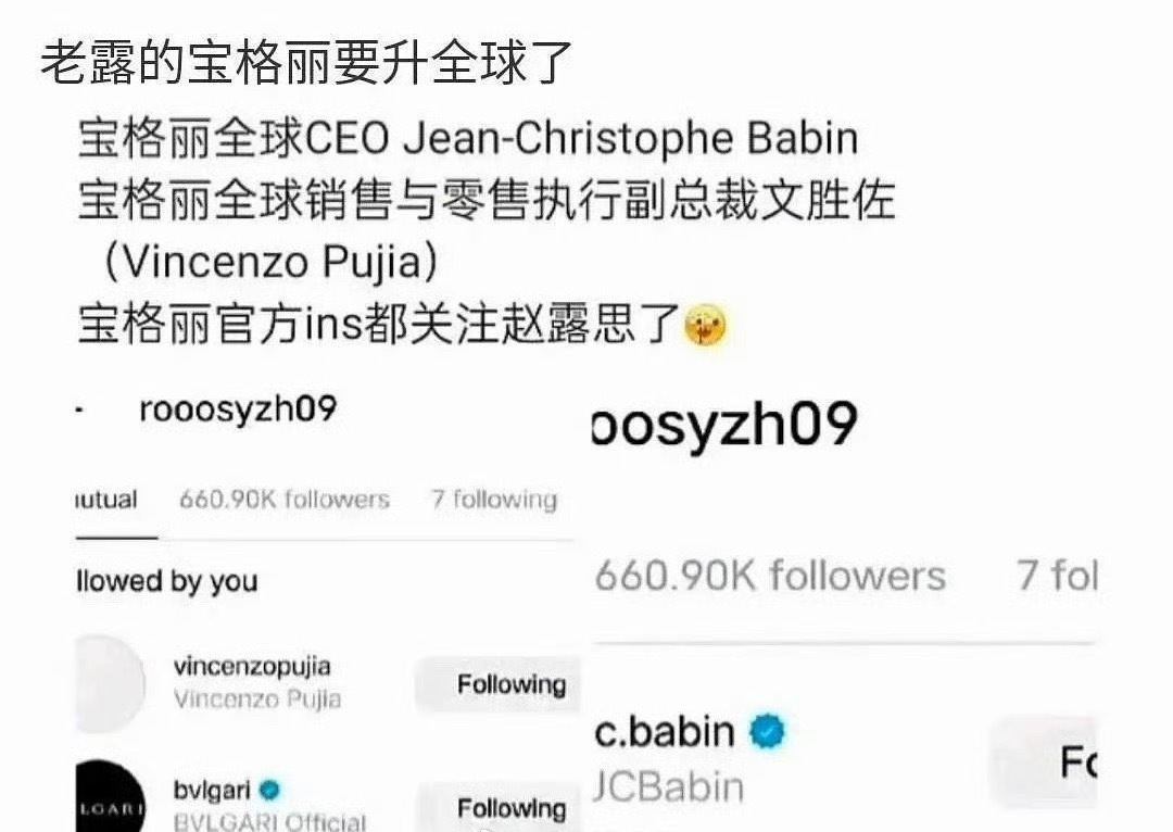 赵露思或将升任宝格丽全球代言人