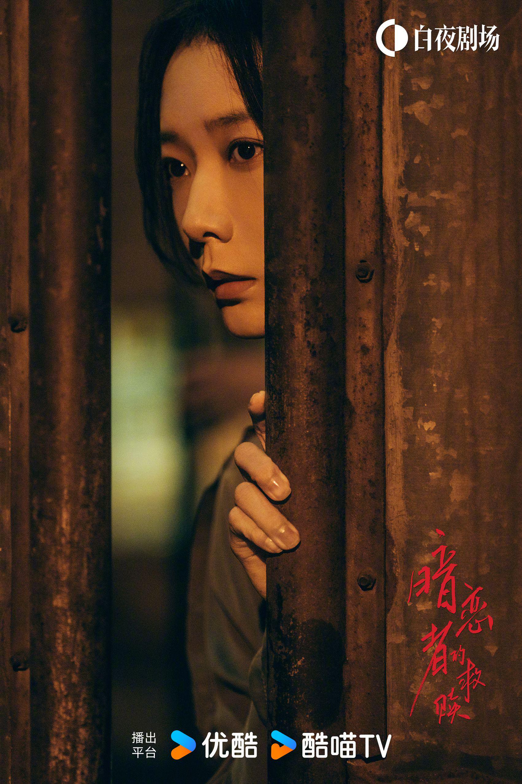 王珞丹袁弘黄宗泽主演暗恋者的救赎优酷热播