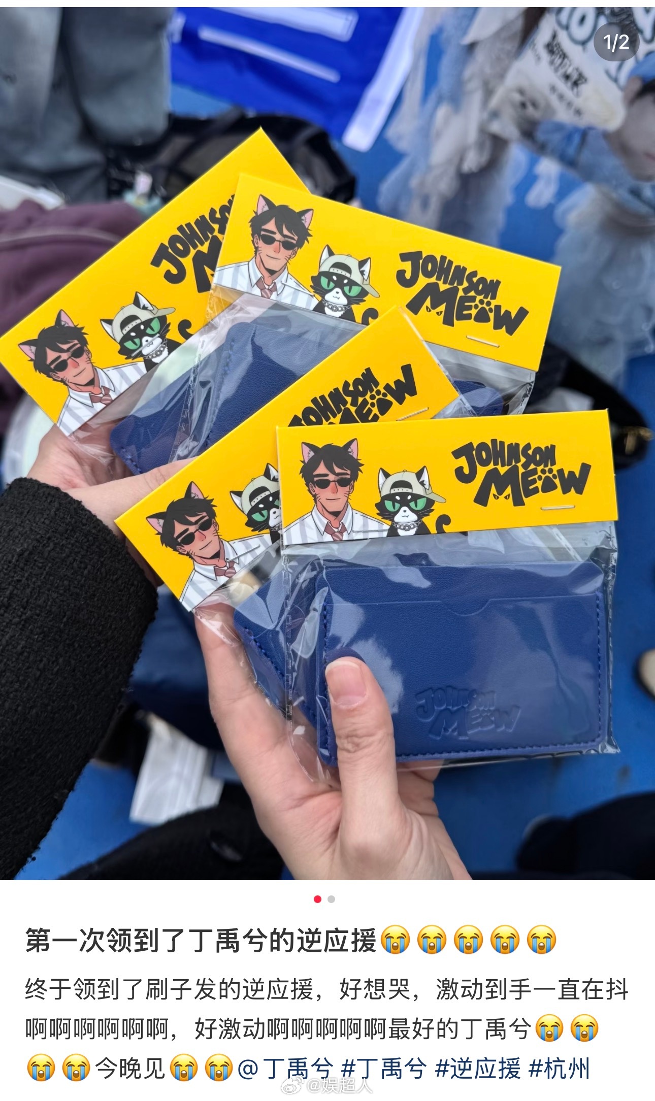 丁禹兮巅峰之夜再为粉丝逆应援