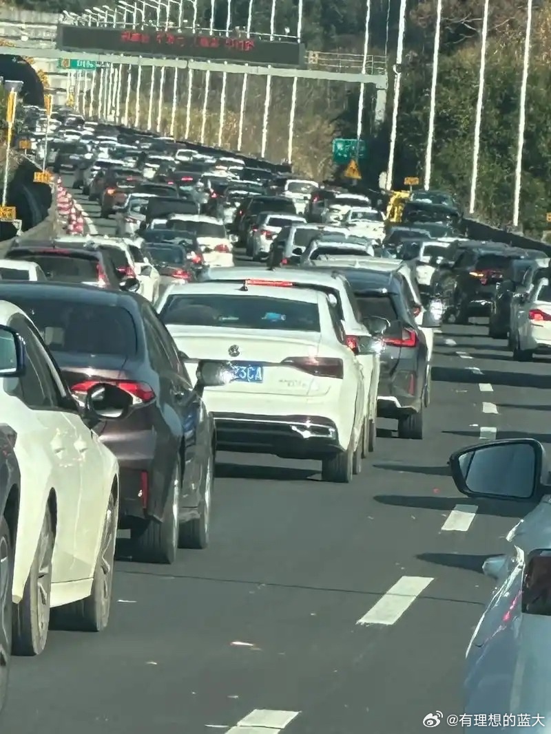 10万元二手车选购指南，油车电车面面观