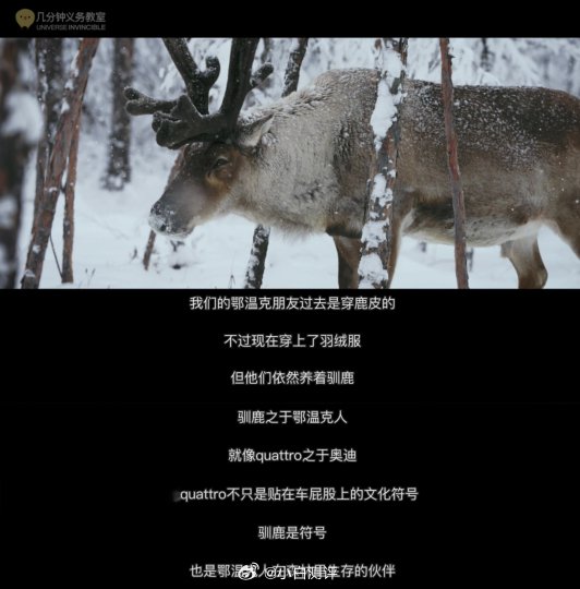 鄂温克族驯鹿与奥迪A5L Sportback共舞冰雪