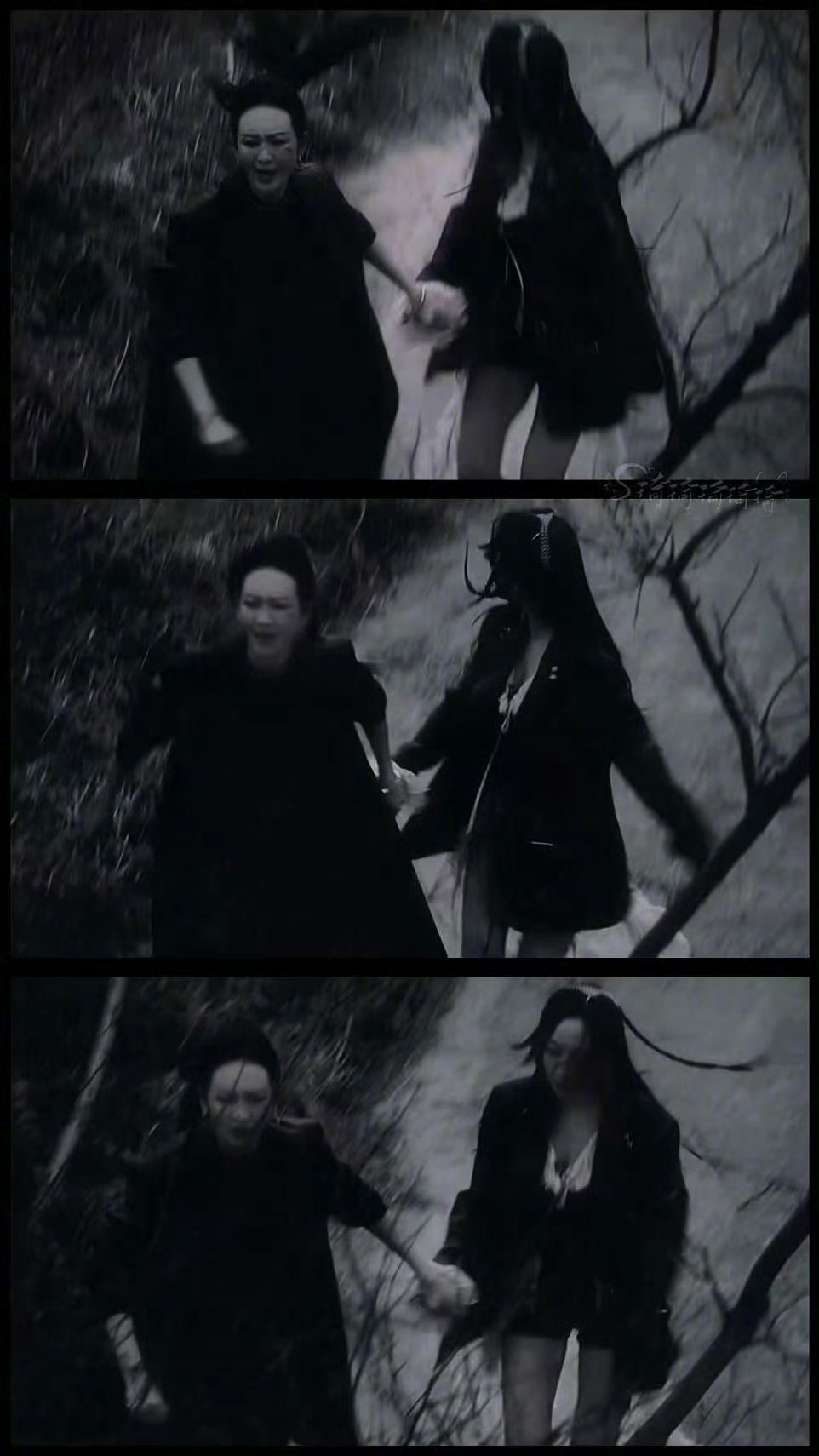 王鸥杨蓉大侦探双女侦探携手破案