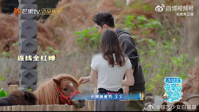 全红婵张家齐连线互动，姐妹情深引关注