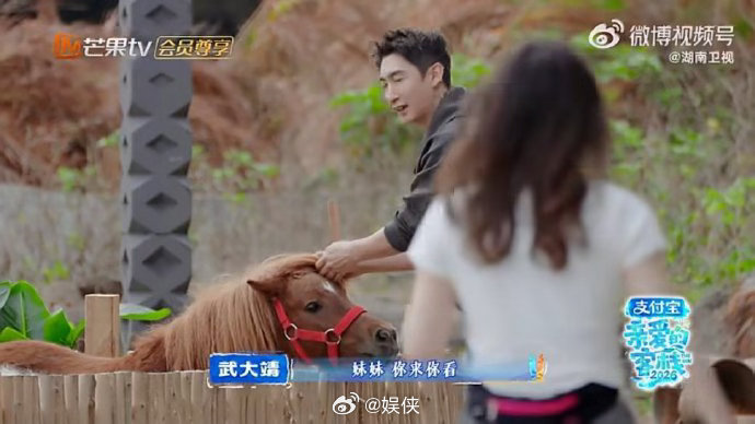 全红婵未睡醒被张家齐连线喊宝宝