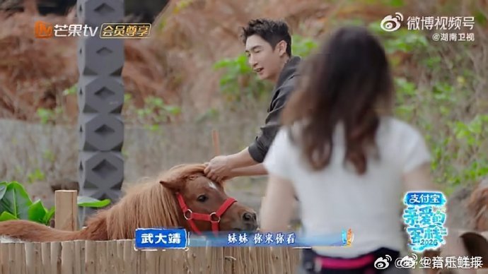 全红婵睡眼惺忪被张家齐喊宝宝营业