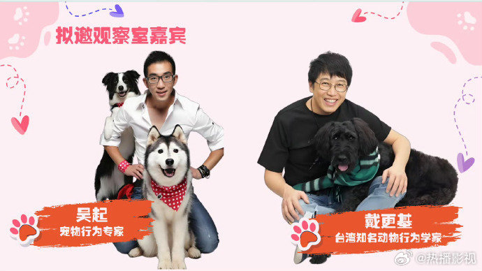《摇着尾巴说爱你》拟邀杨超越王勉等嘉宾