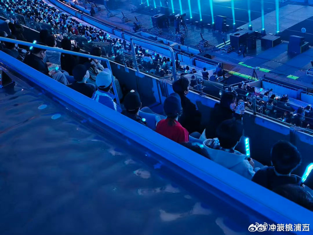 快乐家族现身张杰演唱会，何炅维嘉吴昕同框
