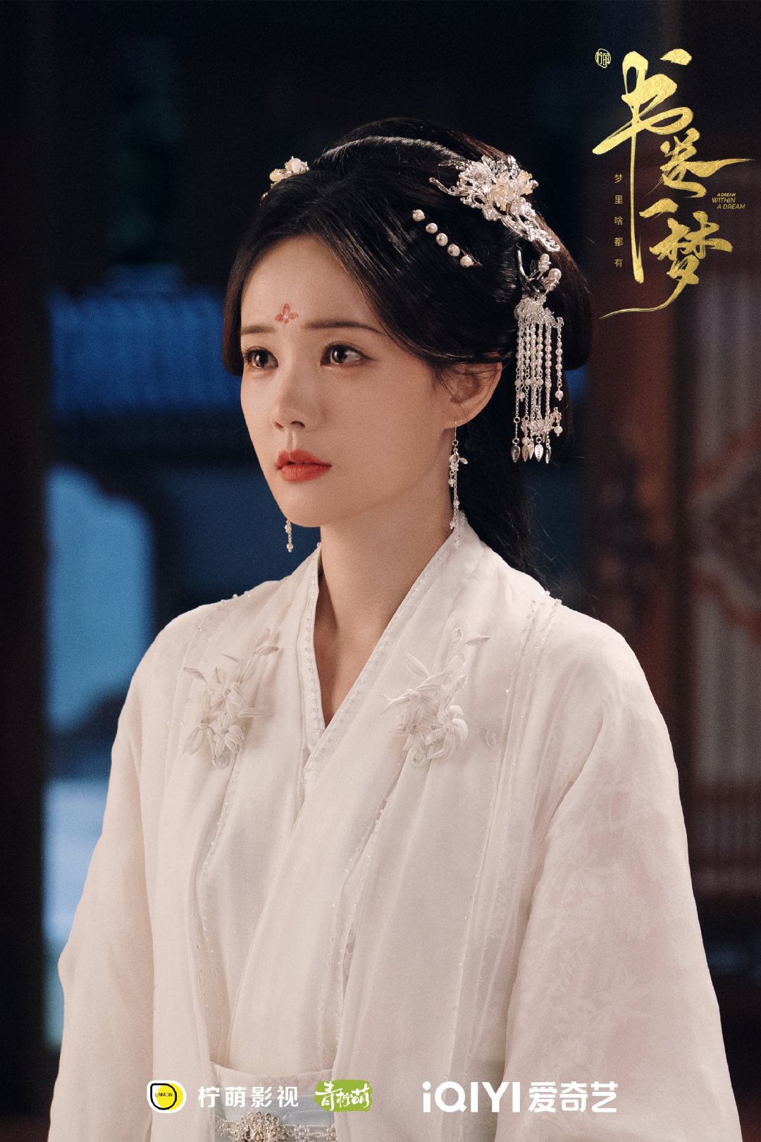 《书卷一梦》评分人数超百万，李一桐刘宇宁演绎获赞