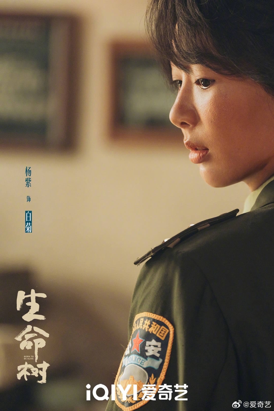 杨紫胡歌等主演《生命树》今晚开播，每日更新2集