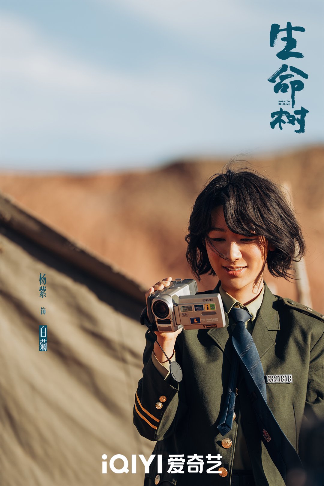 杨紫胡歌主演《生命树》爱奇艺每日更新