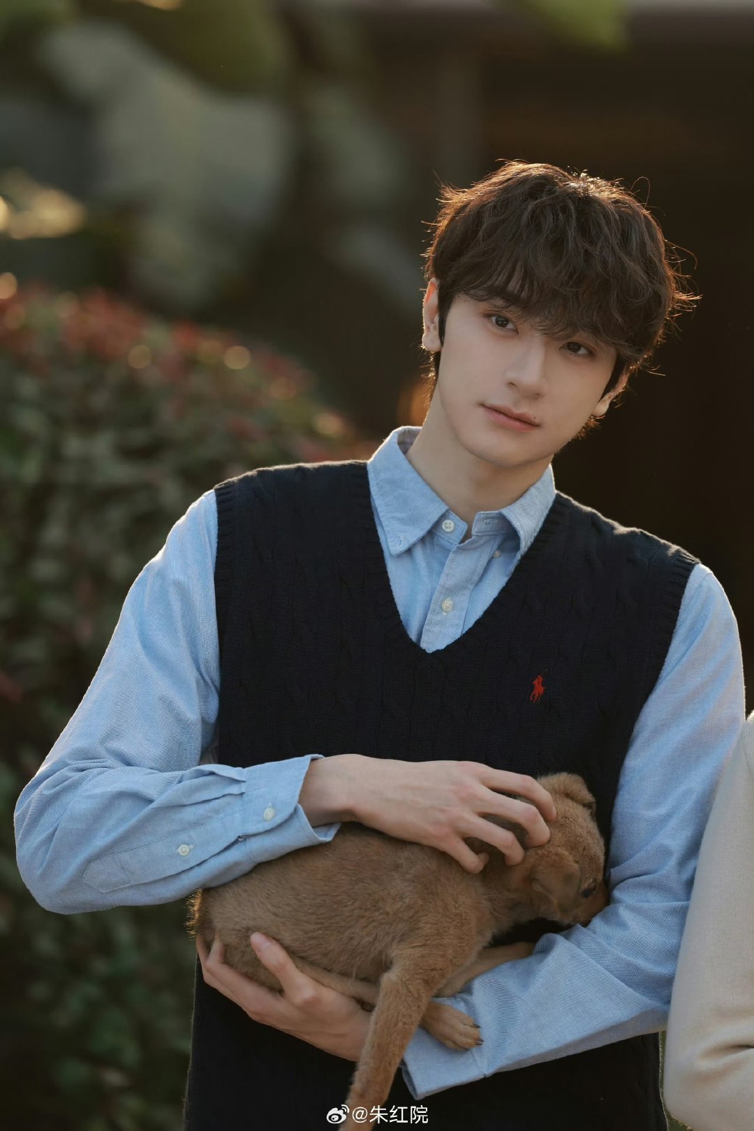 关晓彤林一或再度合作