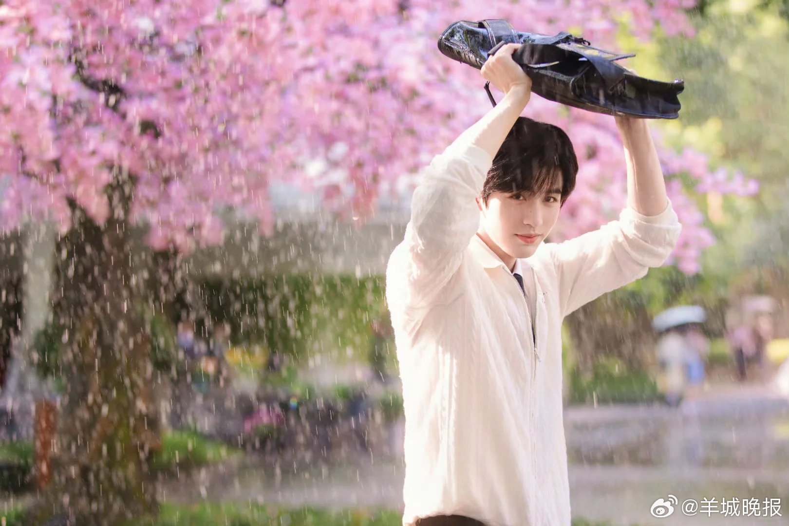 2025现偶男主盘点，张凌赫陈哲远等角逐观众最爱