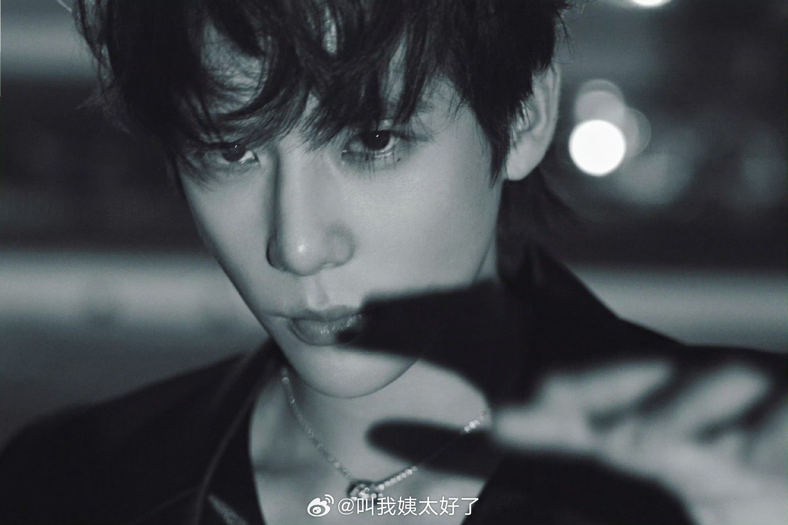 王安宇今年流量飙升引关注