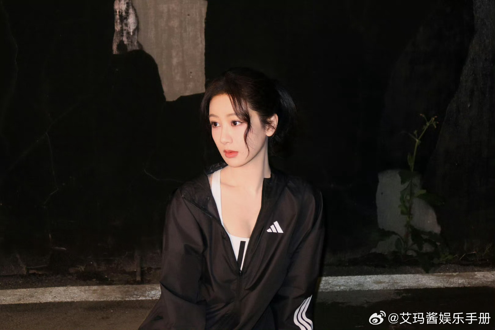 杨紫后援会集体辞职重组