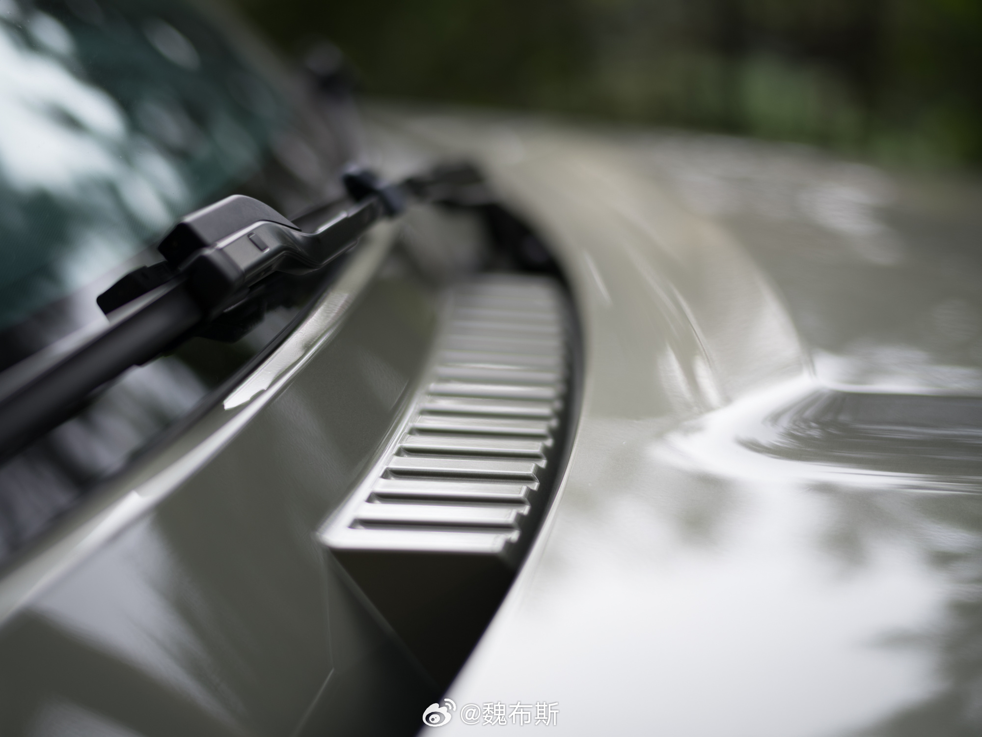 卡皮巴拉计划明年自驾游目的地