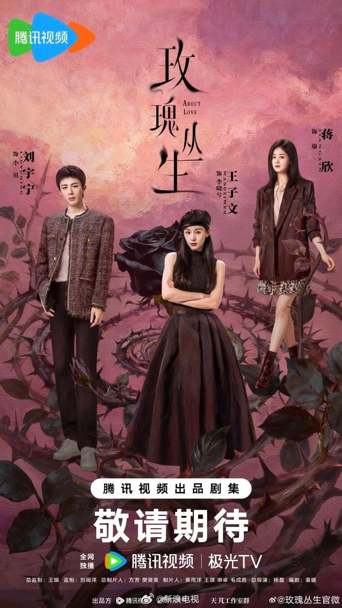 王子文刘宇宁蒋欣主演《玫瑰丛生》开启招商，暂定2月播出