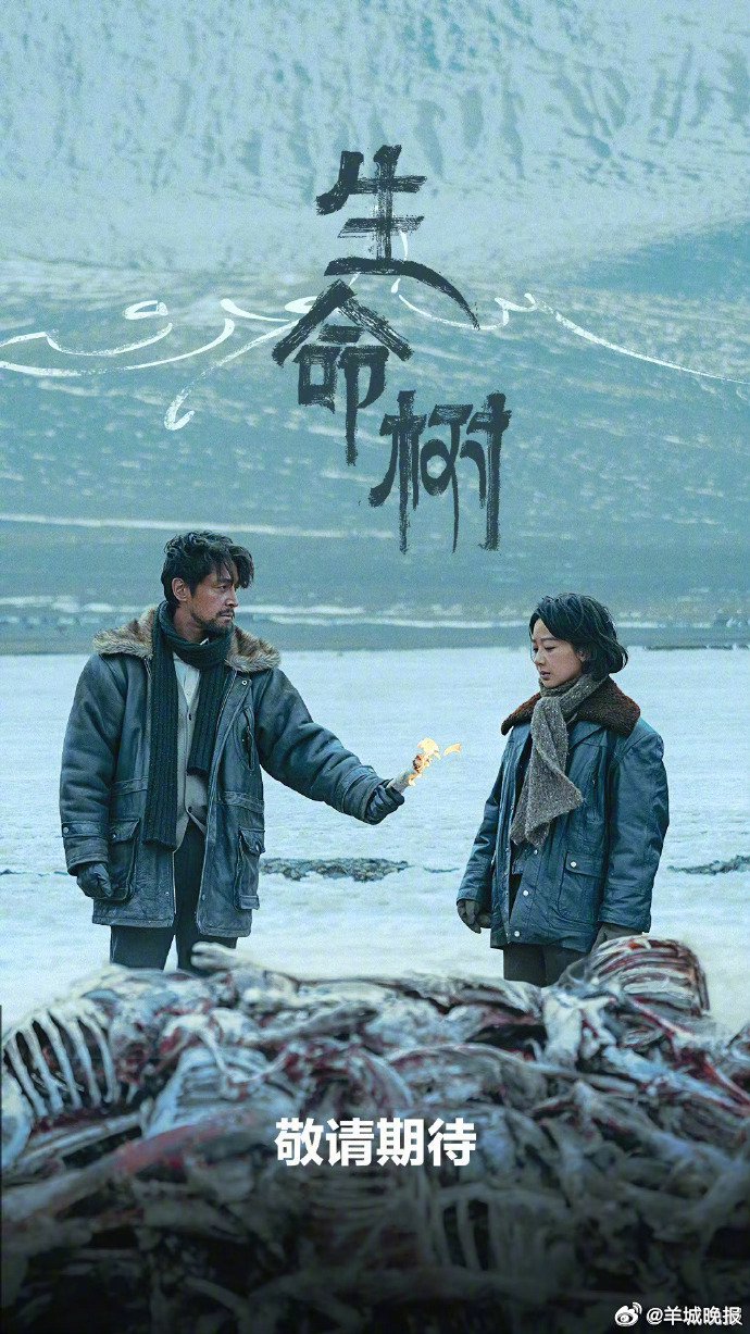 热播剧《生命树》《逍遥》《太平年》引追剧热潮