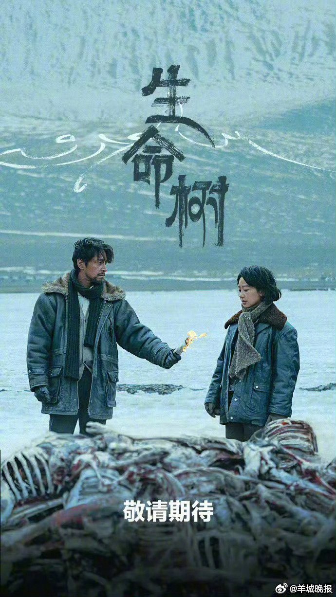 《生命树》大结局引热议，杨紫胡歌等主演剧集盘点