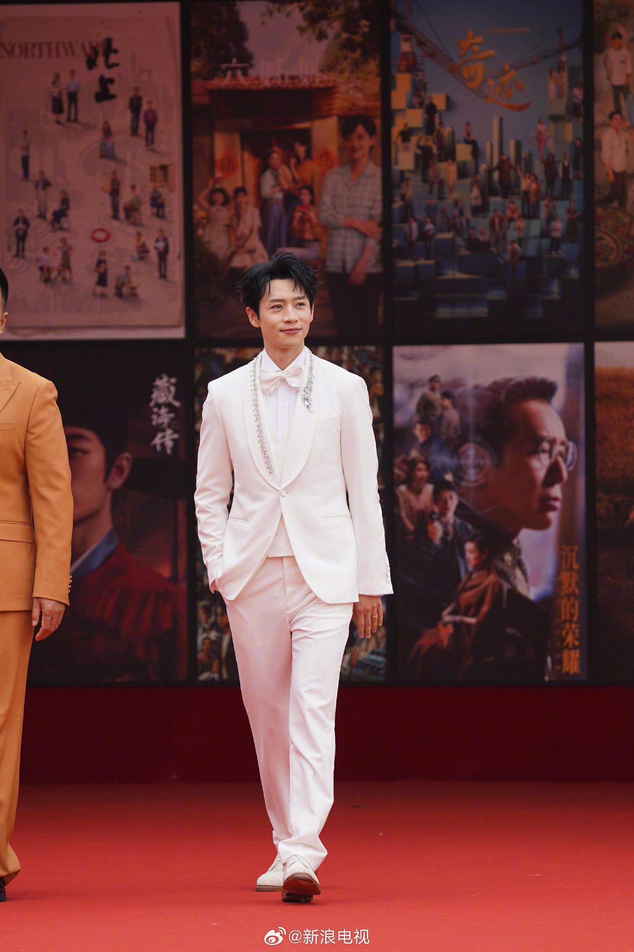 魏晨亮相中国电视剧年度盛典红毯
