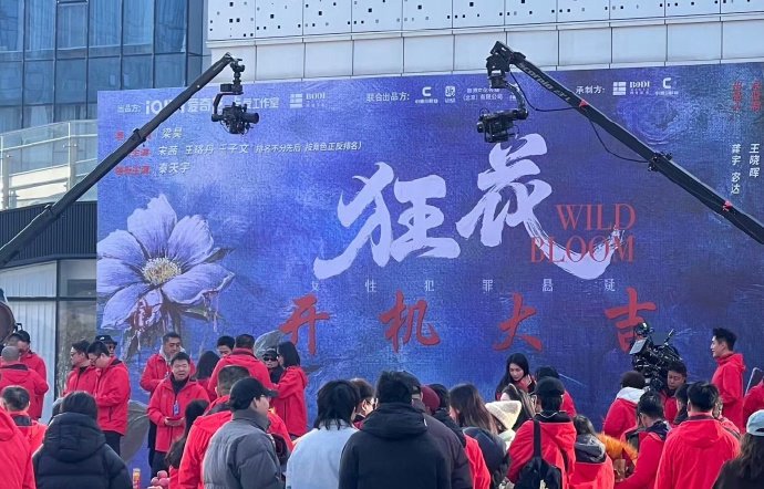 宋茜王珞丹王子文新剧《狂花》开机，按角色正反排名