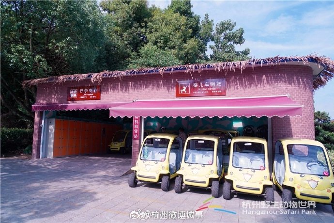 杭州野生动物世界代步车租价200元起，游客建议优化归还规则