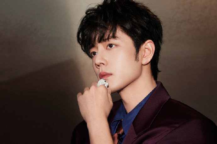 肖战2025年登顶微博热搜艺人榜，藏海传上榜874次