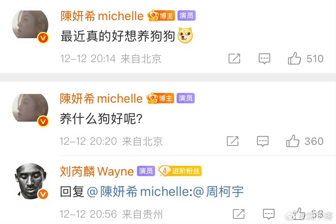 刘芮麟回应观众提问，直言不讳表态