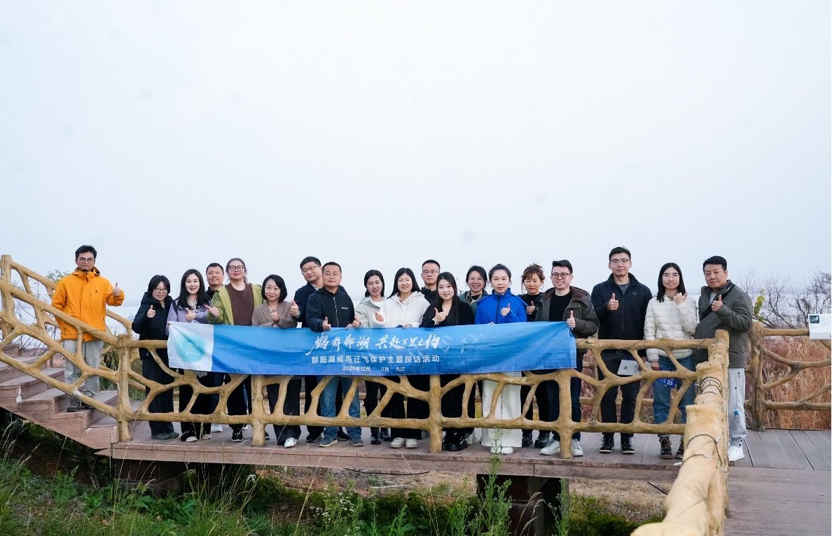 鄱阳湖候鸟保护引入AI技术，华为联合多方共筑生态屏障