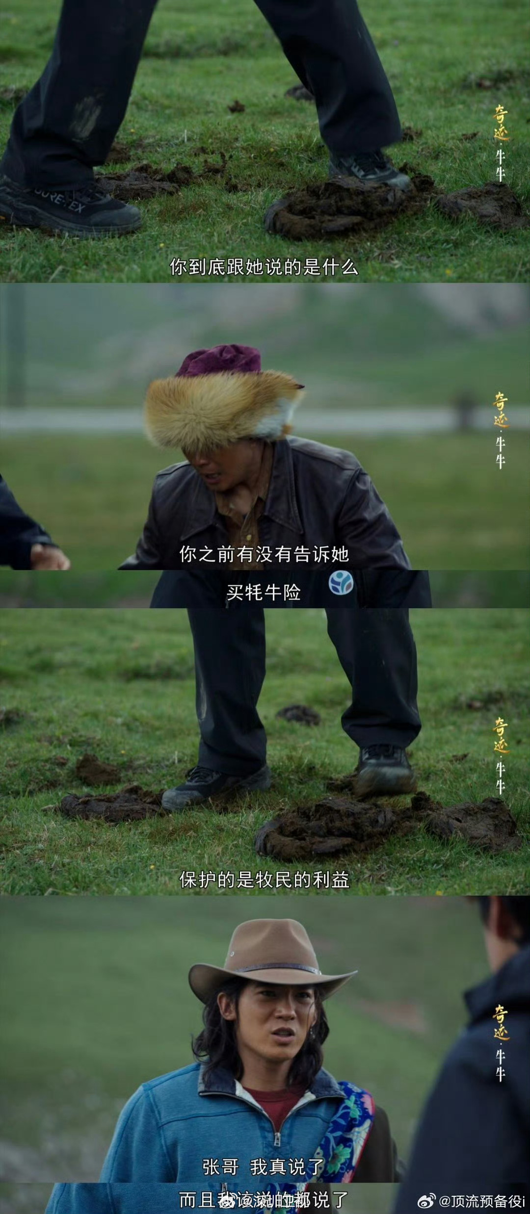 胡歌新剧首吻对象为牛粪，于适旁观