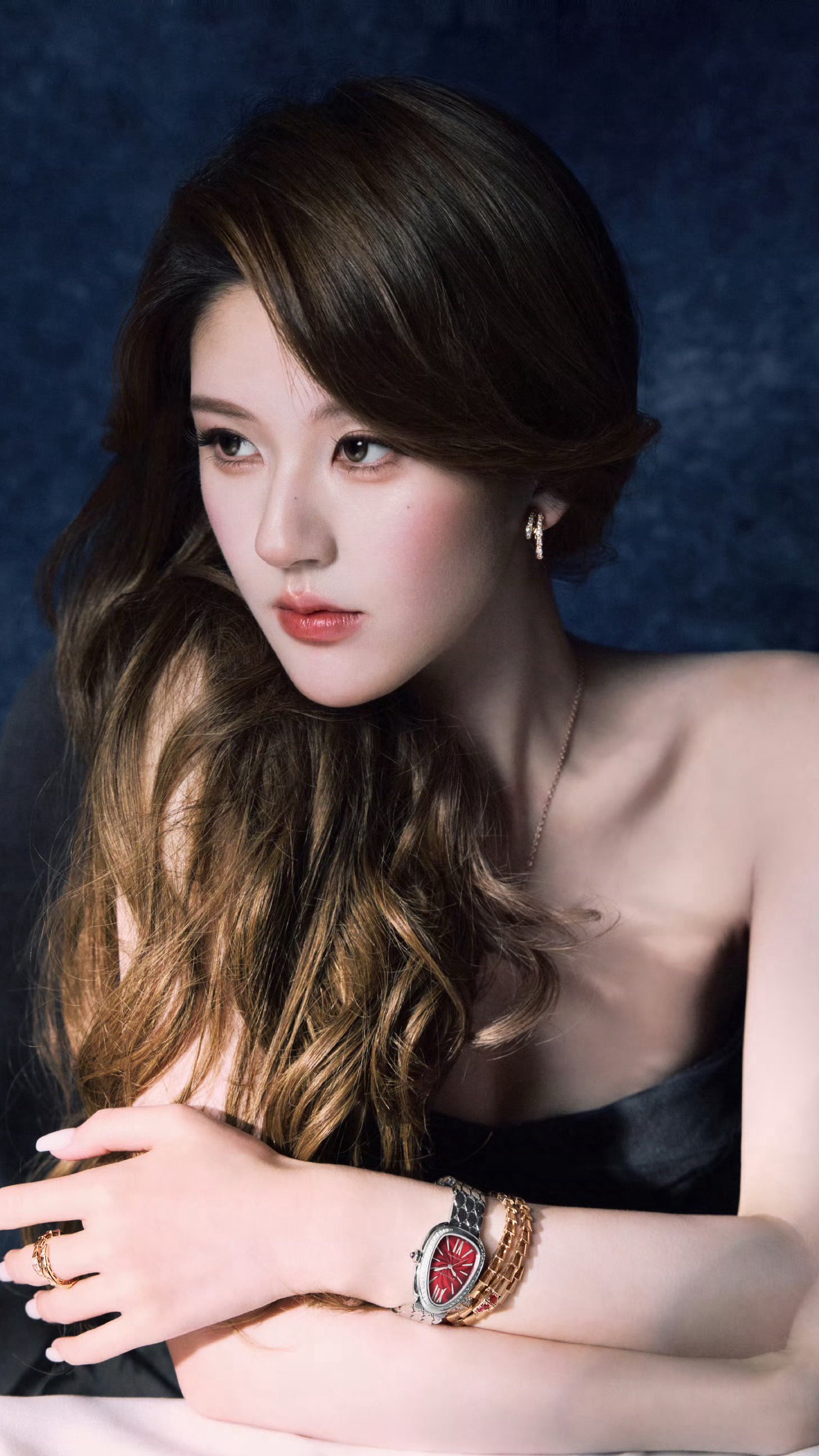 赵露思刘亦菲吴磊等众星出镜宝格丽新春大片